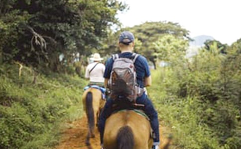 Ī��ɣС�f���T�R���x��У����x20ƪ��