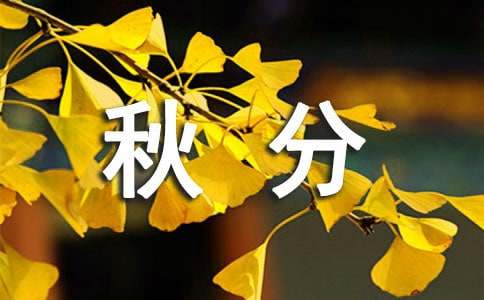 ���ף���Z΢��Ⱥ�l����