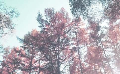 �P���＾С�W����Ӌ�����ģ�ͨ��31ƪ��