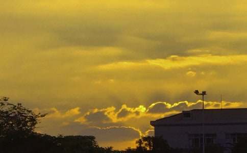 觀察日落的作文(通用81篇)