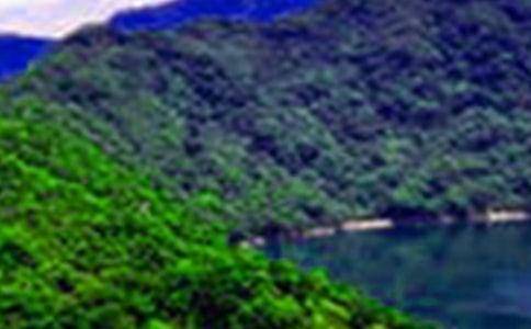 描寫山水的古詩大全