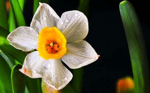 ������ˮ�����ģ�ͨ��85ƪ��