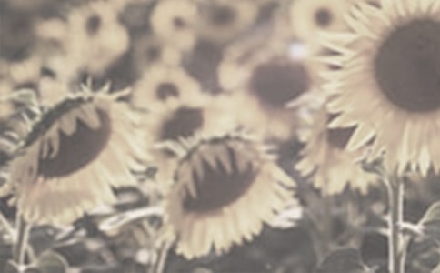 �����C������̫ꖻ�����x��