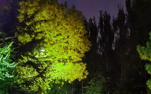 �������`�u�����ӣ�׌���̲�ס�������300��