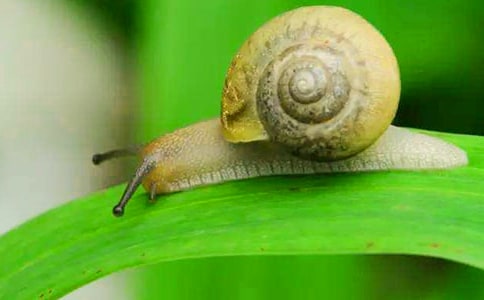 ΁ţ���ģ����x60ƪ��