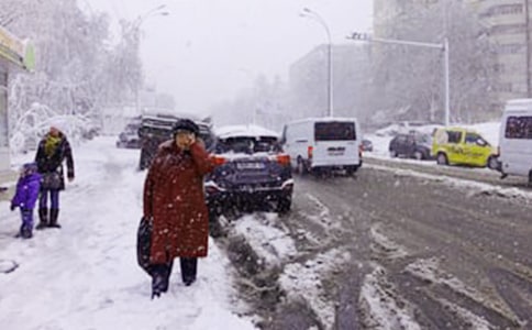 ��ѩ���Α����ģ�ͨ��11ƪ��