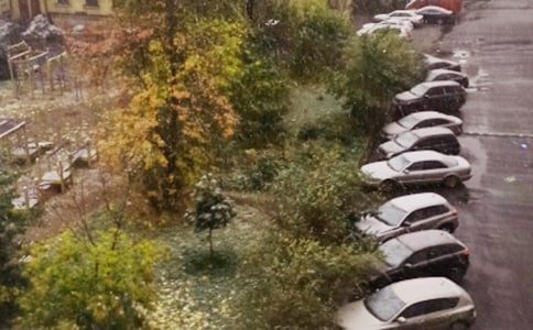 ��ѩ���ķ��ģ����x75ƪ��