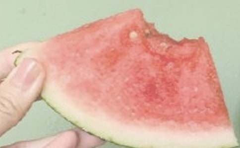 [��]����ԭ�ķ��g���p��15ƪ