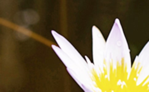 2023��������һ��