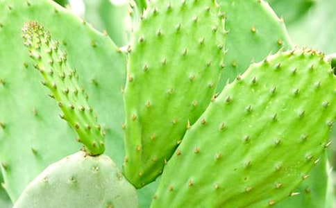 �����T(m��n)���������^(gu��n)����ӛ