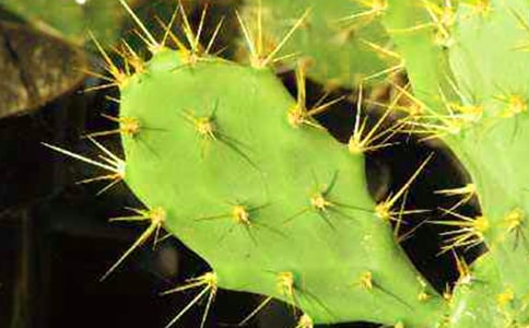 �^�����������ģ�ͨ��46ƪ��