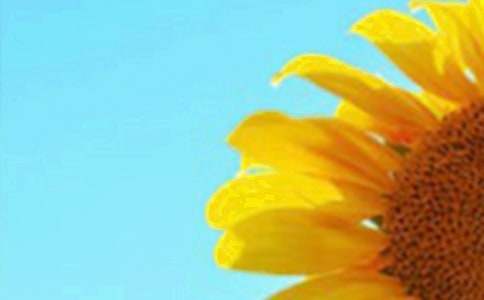 寫向日葵的作文(大全15篇)