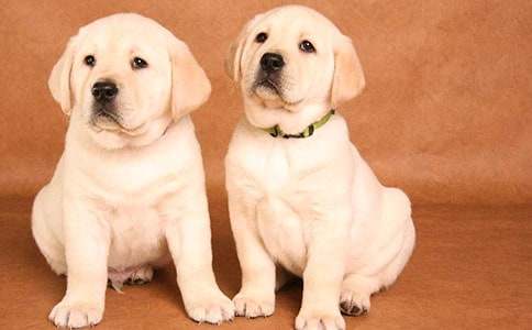 С��Ȥ�����ģ�ͨ��109ƪ��