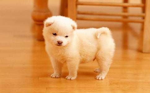 �⹫�ҵ�С�����ąR����ƪ