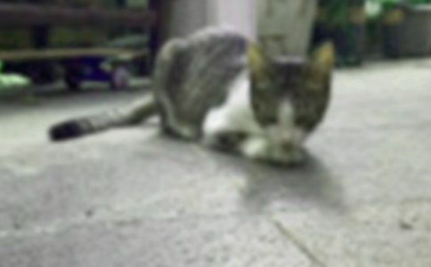 ���꼉�ɐ۵�С؈���ĺϼ�9ƪ