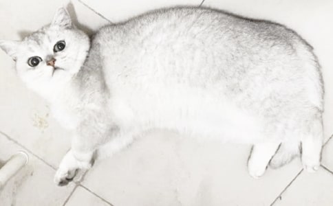 С؈�����䡱���ģ�ͨ��62ƪ��