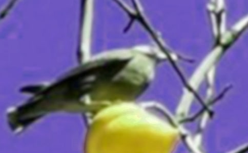 ���õ�С�B����600��[����]