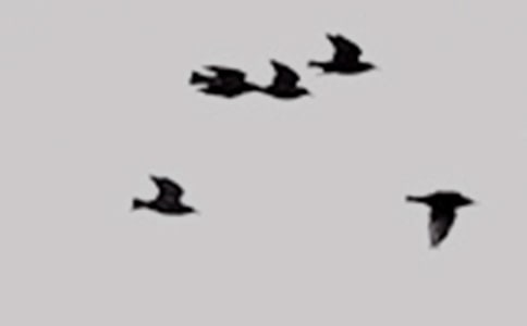 �����x���ɐ۵�С�B������ƪ