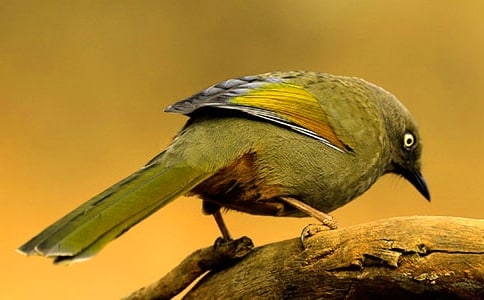 С�B�����ľ�Ʒ76ƪ