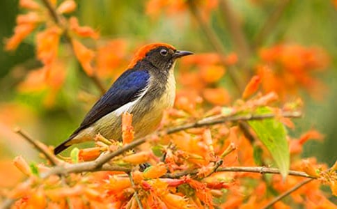 ���؂䡿С�B������ƪ