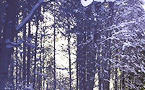 СѩԊ�~�����x98�ף�