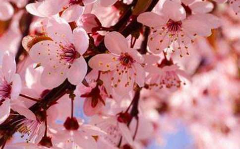 �ѻ�������600��(���\3ƪ)