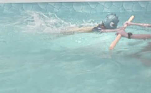 【精】第一次游泳作文