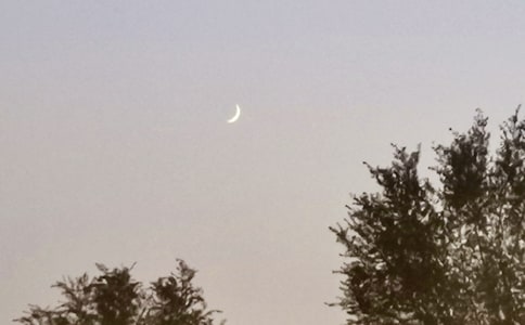 �茑������Ԋ��120��