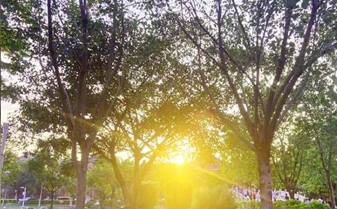 早安調皮句子440句