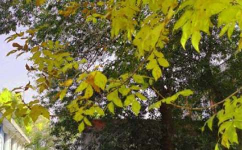 �����A��2021��Ψ�����簲���Z����25�l