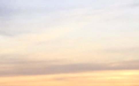 2025�꾫�x���\��ů���簲���Z΢��29�l