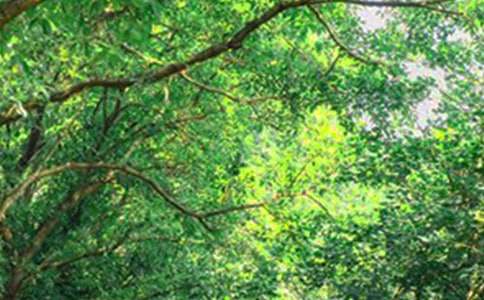 2022�����P(gu��n)���\���簲���Z���ŅR��56�l