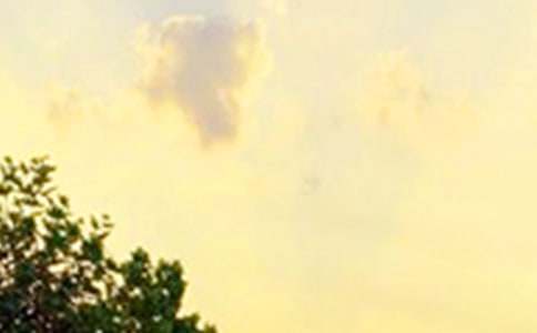 �����]��2022���°��簲���Z���Ŵ�R��50�l