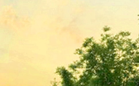 2025年適合早上發的早安問候語290句