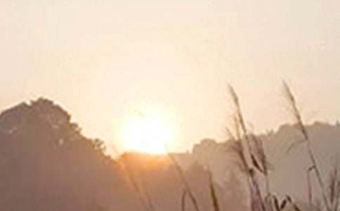 �����T���°��簲���Z���ż���35��