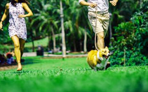 �P(gu��n)����ĩ�ľ���