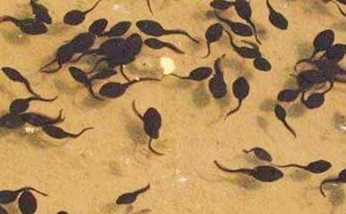 ��С����ҋ������̌W��˼