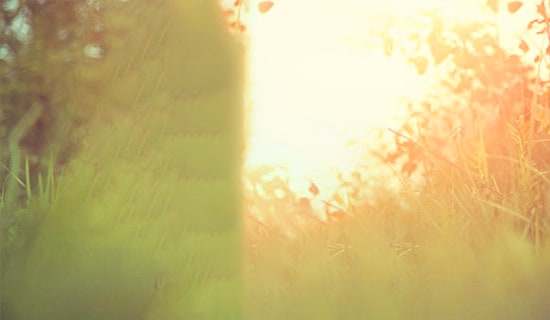 花的唯美語(yǔ)錄300句