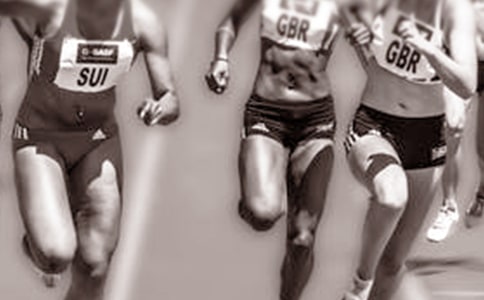 ���°���W�\���׽��ĵ��w�������x8ƪ��