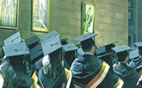 ���I��ĸ�������(4ƪ)