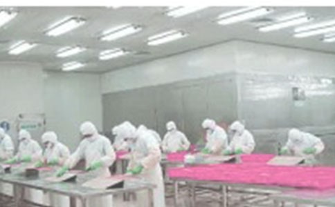 車間的年度工作總結范文