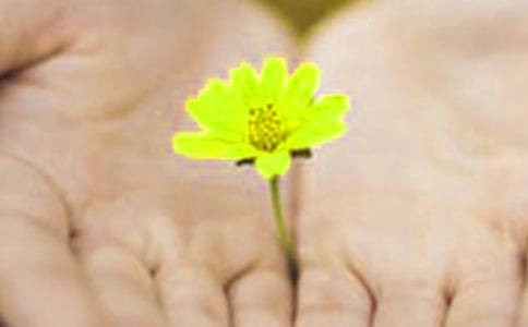 向同學的道歉信范文(精選12篇)