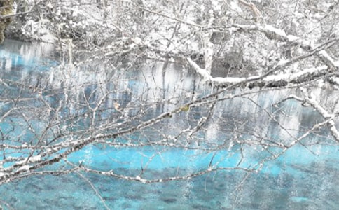 ��������Ƿн�������Y�����x5ƪ��