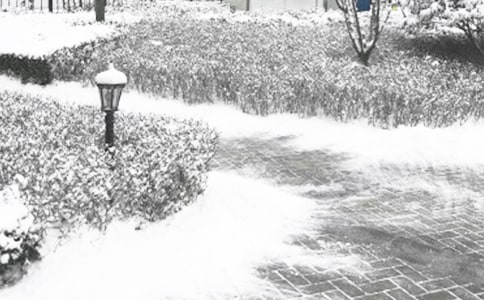 關于冬季安全國旗下講話稿16篇