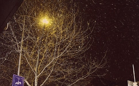 �������Ӣ�����ģ�ͨ��29ƪ��