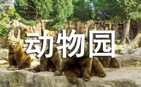 動物園作文匯編(3篇)