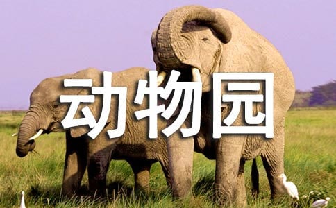 歡迎你到北京動物園英語作文