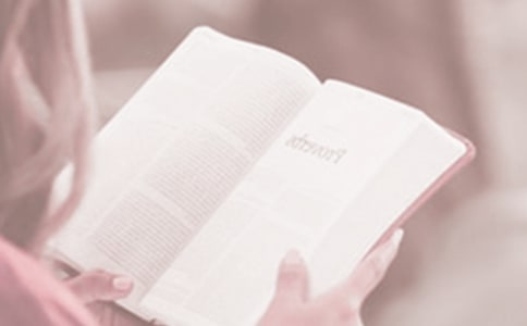 4��23�������x�������ģ��x���Ę�Ȥ