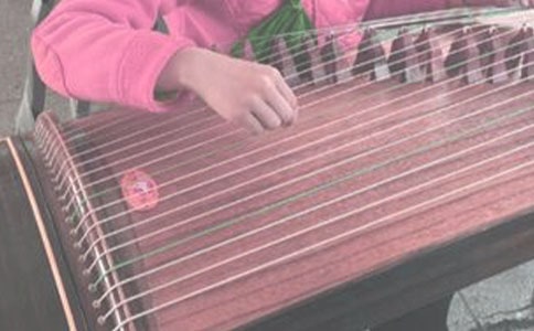 我學會了彈古箏作文13篇