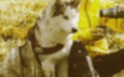 關于創建和諧文明單位工作匯報的范文